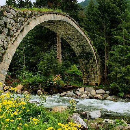 Hotel Manzara Butik Çamlıhemşin